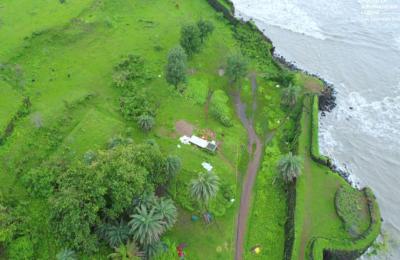 Anjarle Tomorrow World