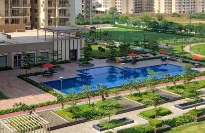 Conscient Heritage Max