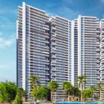 DLF