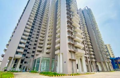 International Land Developers