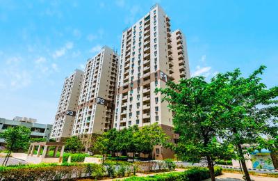 Vatika Gurgaon 21